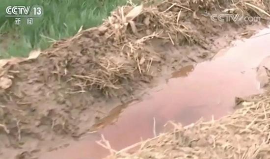 央视实地视察河北“红水浇地”，村民种粮自己不敢吃